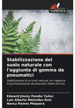 Stabilizzazione del suolo naturale con l'aggiunta di gomma da pneumatici