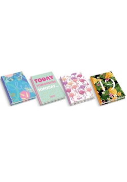 Kalendarz 2019 A5/320 Laminowany MIX DAN-MARK