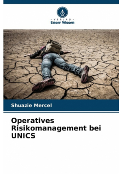 Operatives Risikomanagement bei UNICS