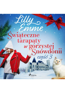 Świąteczne tarapaty w górzystej Snowdonii - część 3