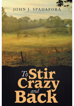 To Stir Crazy and Back
