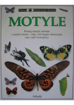 Motyle
