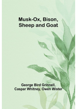 Musk-Ox, Bison, Sheep and Goat