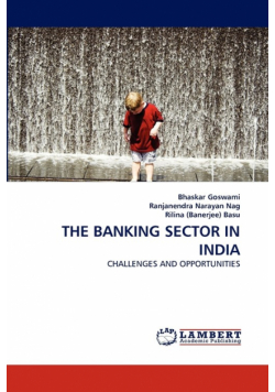The Banking Sector In India