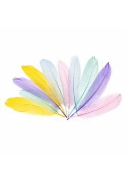 Piórka gęsie 15-20cm pastelowe