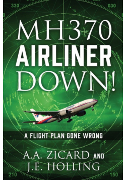 Mh370 Airliner Down!
