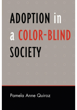 Adoption in a Color-Blind Society