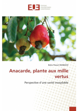 Anacarde, plante aux mille vertus
