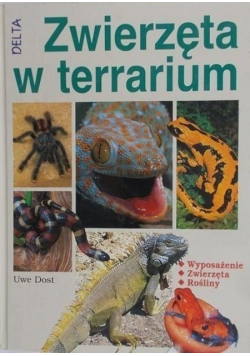 Zwierzęta w terrarium