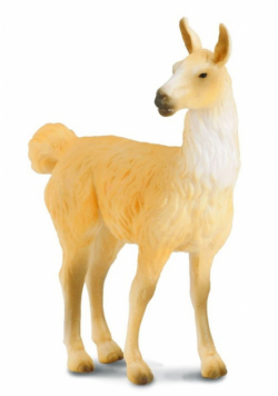 Lama M