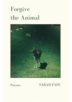 Forgive the Animal