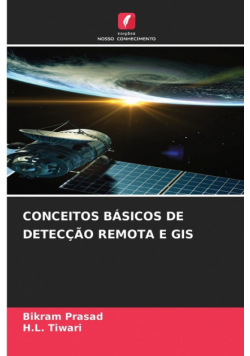 Conceitos Básicos De Detecção Remota E Gis