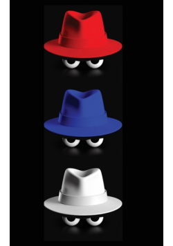 Red Team Blue Team