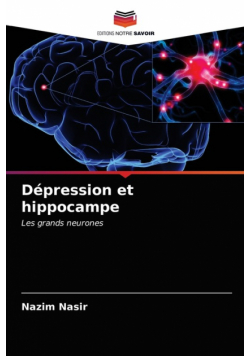 Dépression et hippocampe
