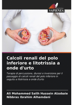 Calcoli renali del polo inferiore e litotrissia a onde d'urto