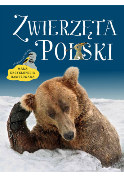 Zwierzęta Polski Mała encyklopedia ilustrowana