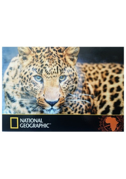 Podkład szkolny na biurko obustronny National Geographic 55x38 cm