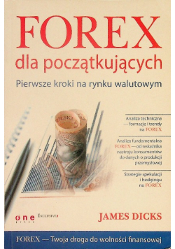 Forex dla początkujących. Pierwsze kroki na rynku walutowym