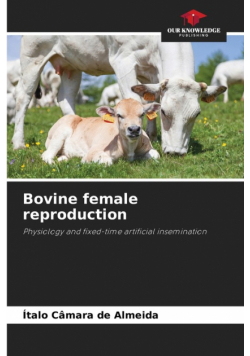 Bovine female reproduction