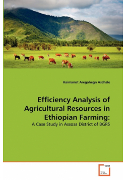 Efficiency Analysis of Agricultural Resources in Ethiopian Farming