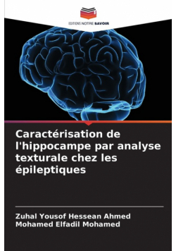 Caractérisation de l'hippocampe par analyse texturale chez les épileptiques