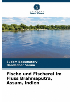 Fische und Fischerei im Fluss Brahmaputra, Assam, Indien