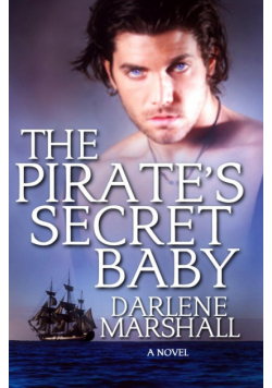 The Pirate's Secret Baby