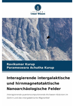 Interagierende intergalaktische und hirnmagnetotaktische Nanoarchäologische Felder