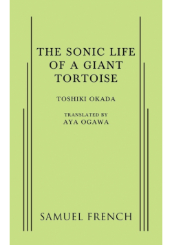 Sonic Life of a Giant Tortoise, A