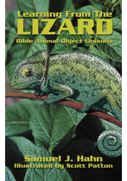 Learning From The Lizard