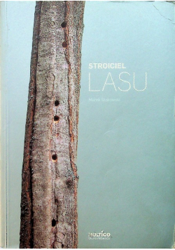 Stroiciel Lasu