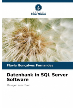 Datenbank in SQL Server Software