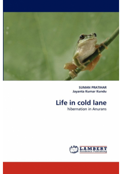 Life in Cold Lane
