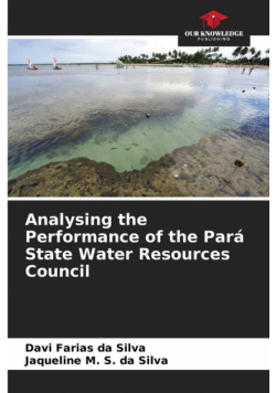 Analysing the Performance of the Pará State Water Resources Council