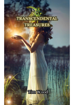 Transcendental Treasures