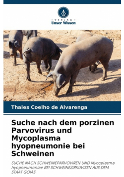 Suche nach dem porzinen Parvovirus und Mycoplasma hyopneumonie bei Schweinen