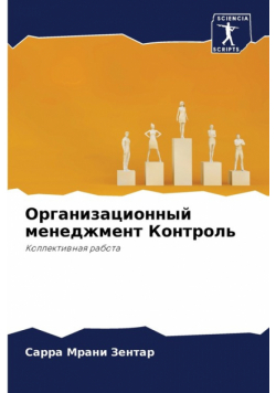 Организационный менеджмент Контроль