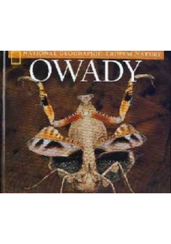 Owady