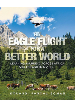 An Eagle Flight for a Better World