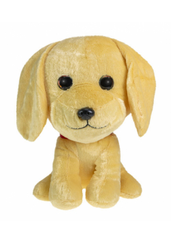 Lumo Golden retriever Molly huge