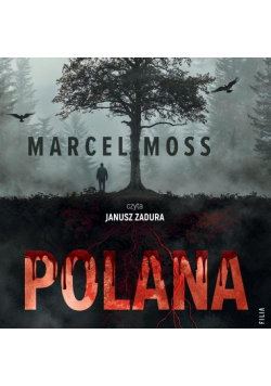 Polana