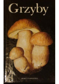 Grzyby