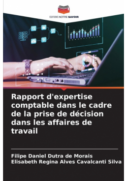 Rapport d'expertise comptable dans le cadre de la prise de décision dans les affaires de travail