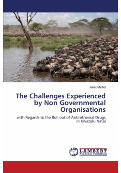 The Challenges Experienced by Non Governmental Organisations