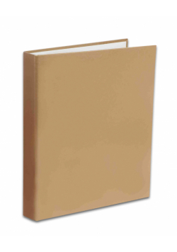 Segregator A4/4R Penmate złoty
