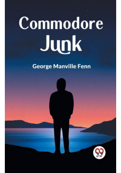 Commodore Junk