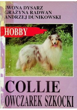 Collie owczarek szkocki