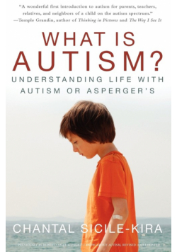 What Is Autism?