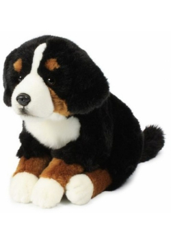 Maskotka Berner sennen 20 cm