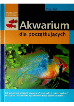 Akwarium dla początkujących